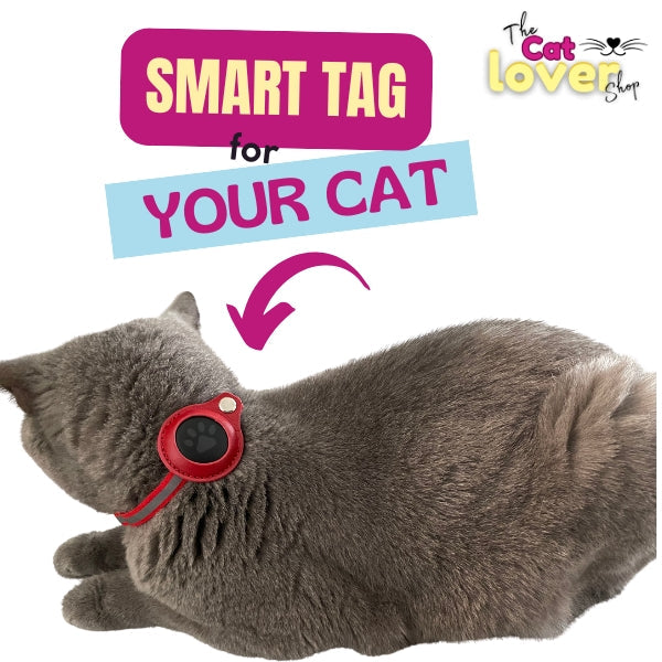 Does the Cat Tracker Work? Finding the Best Cat Tracker for Your Pet