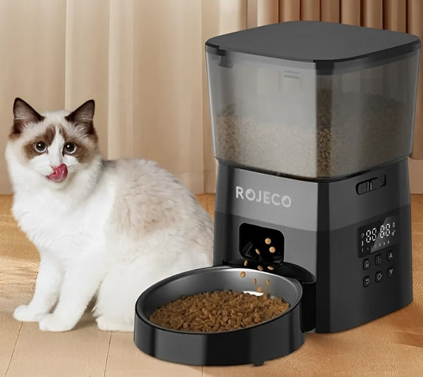 Automatic Feeder for Cat