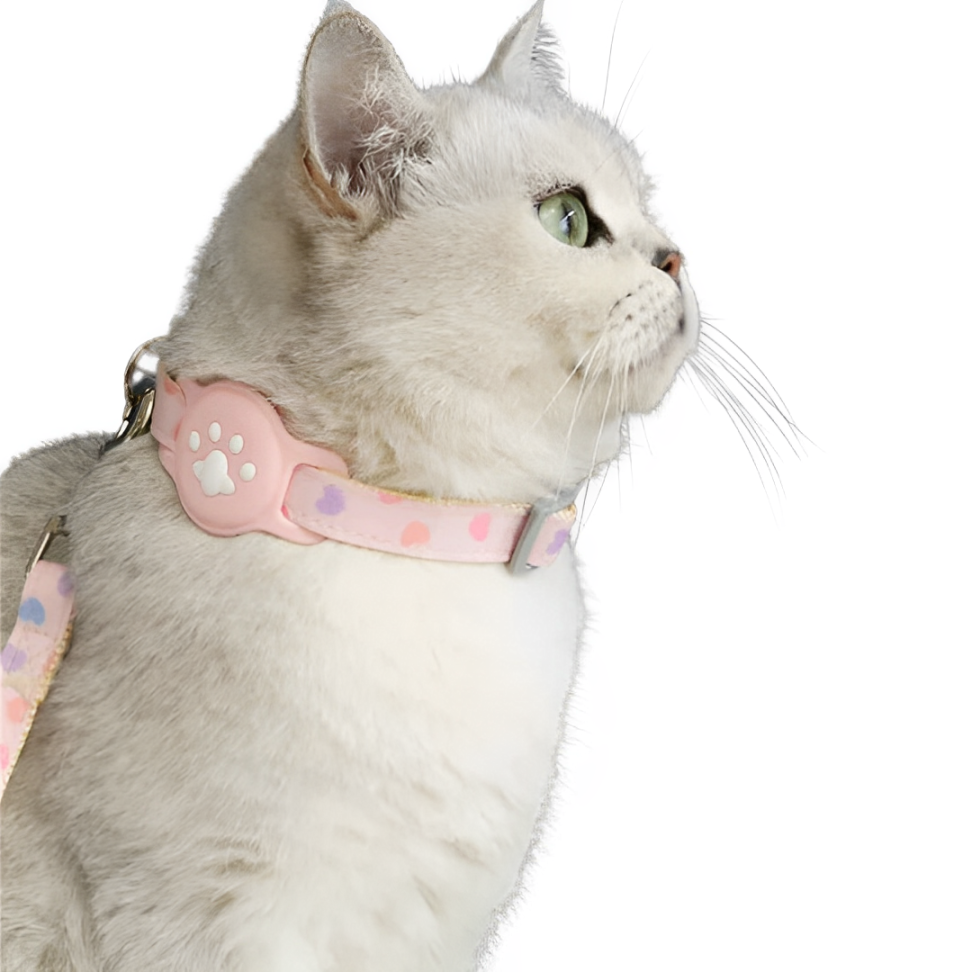 Cat Collar AirTag Holder