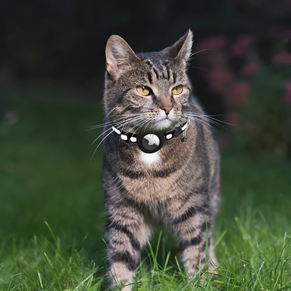 Cat Collar AirTag Holder - Reflective, Adjustable, Waterproof and Safe