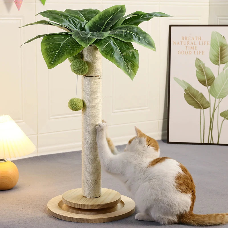 Cat playing with hanging balls on the sisal cat scratching post