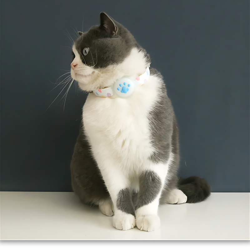 Cat with Collar AirTag Holder