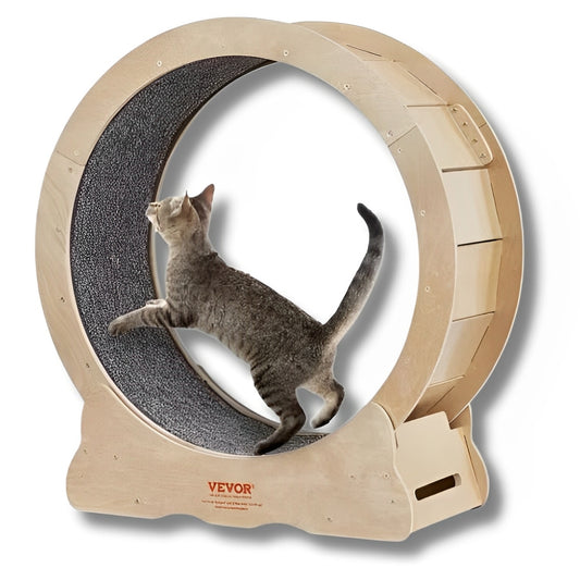 Cat Wheel - Silent Cat Exercise Wheel with Detachable Carpet