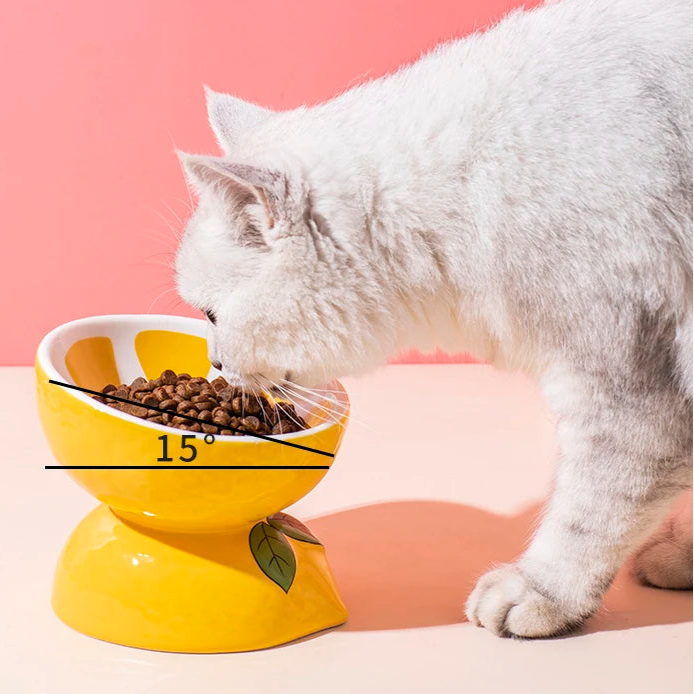 High-quality ceramic cat food bowl