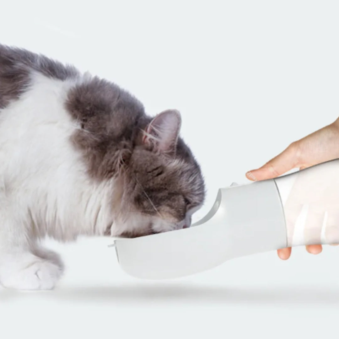 Pet Water Bottle plus Feeder Bowl Portable