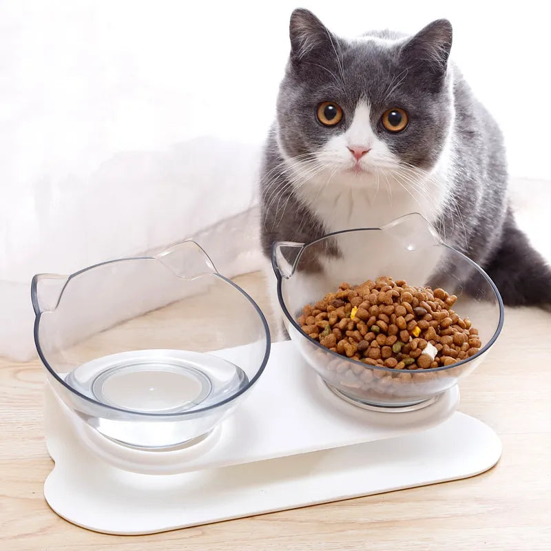 Elevated pet Bowl Water and Food