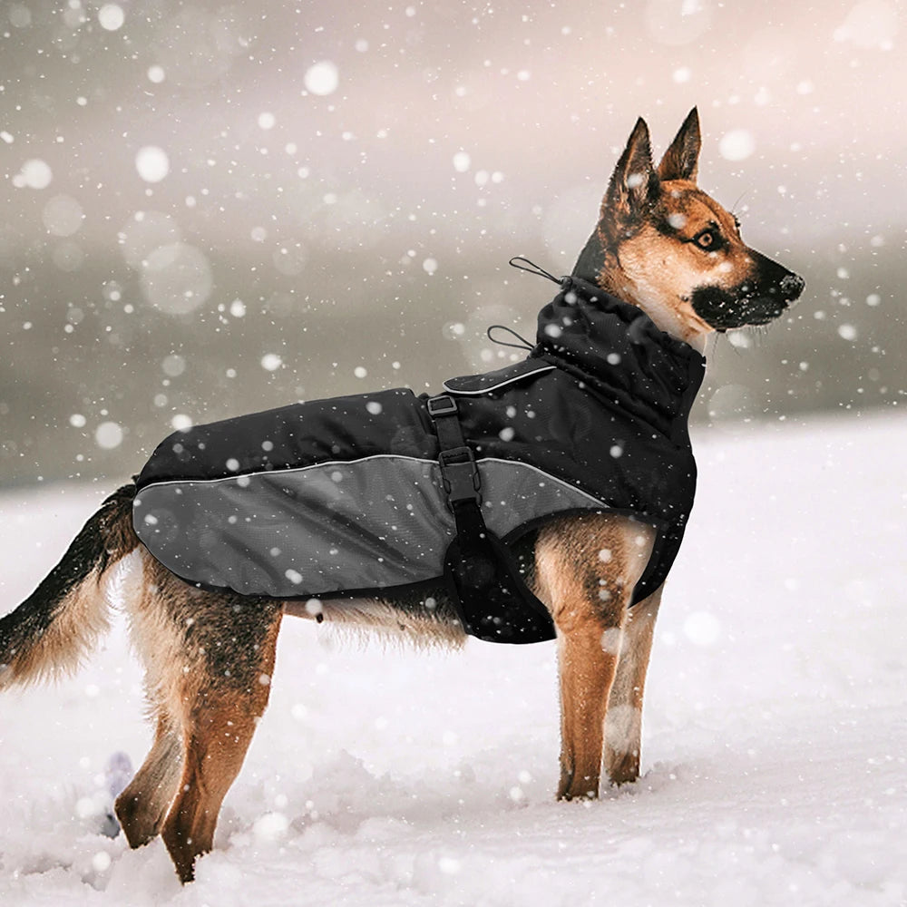 Reflective Waterproof Dog Coat