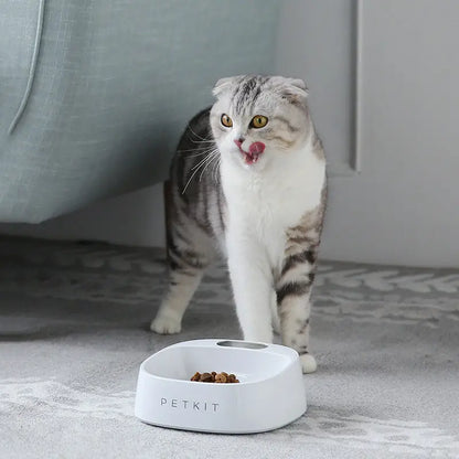 Smart Digital Cat Bowl with Antibacterial Technology