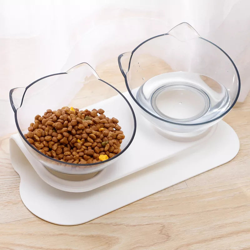 Elevated pet Bowl Water and Food