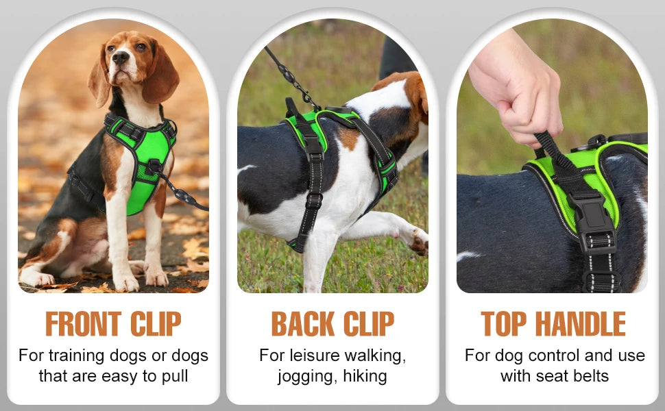 LED Dog Harness for Night Safety with Rechargeable Lights