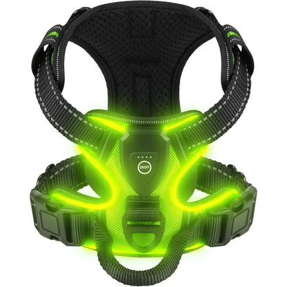 LED Dog Harness for Night Safety with Rechargeable Lights