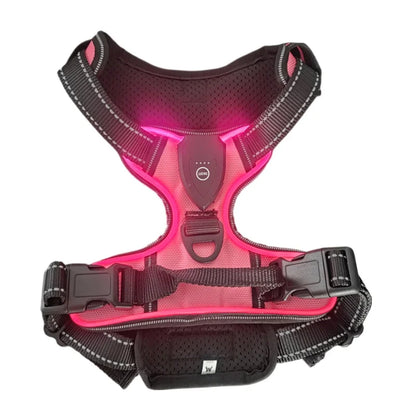 LED-Dog-Harness-pink