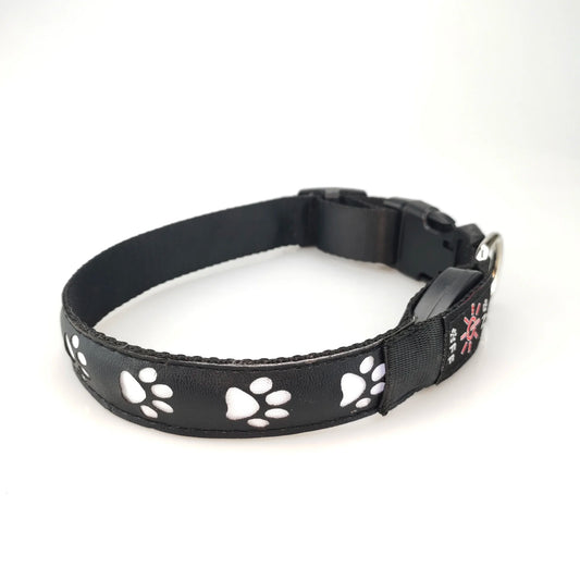 Pet Led Collar