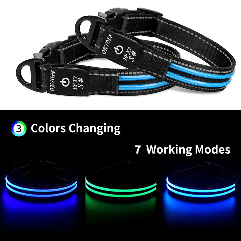 Pet-Led-Collar