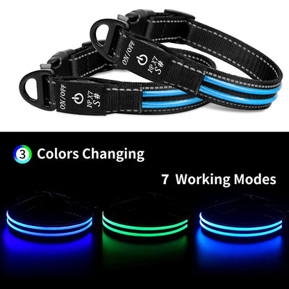 Pet-Led-Collar