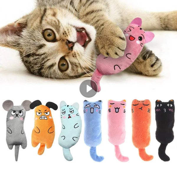 Catnip Toy for Cats