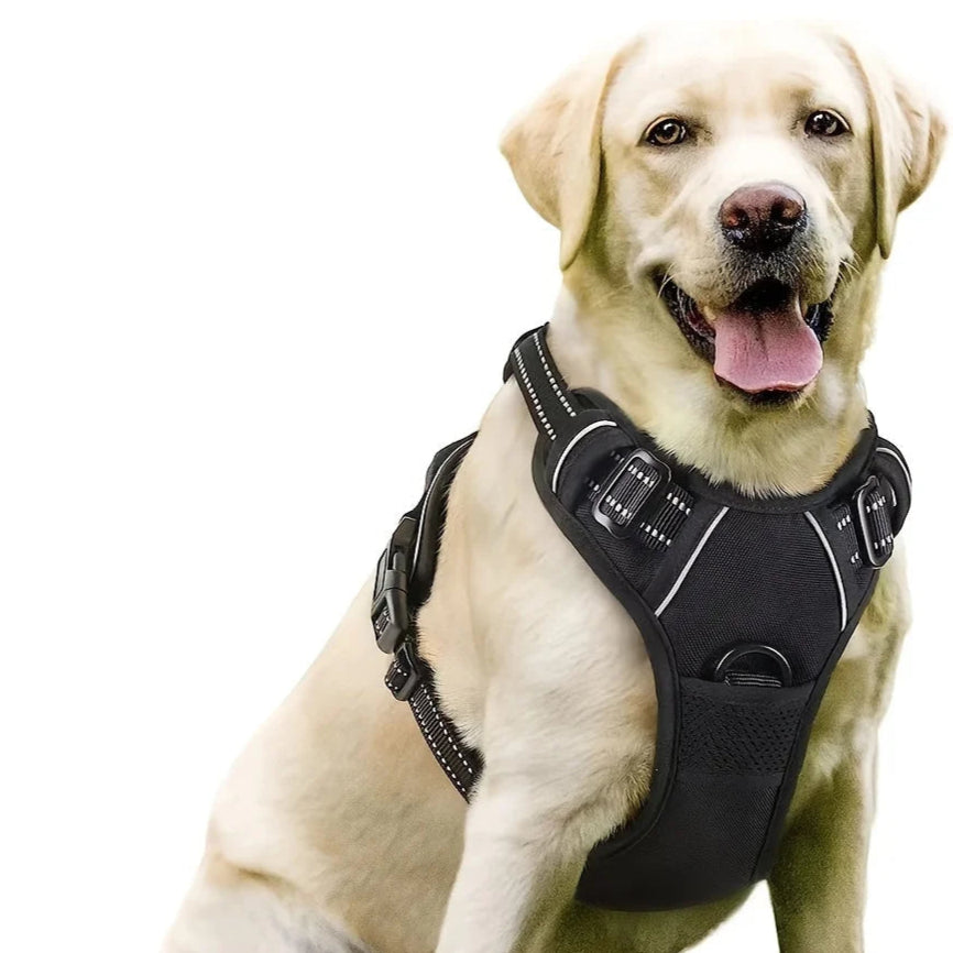 Dog Harness - Reflective with Easy Control Handle