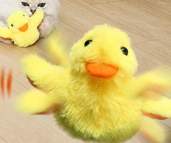 Duck Flap Cat Toy With Catnip