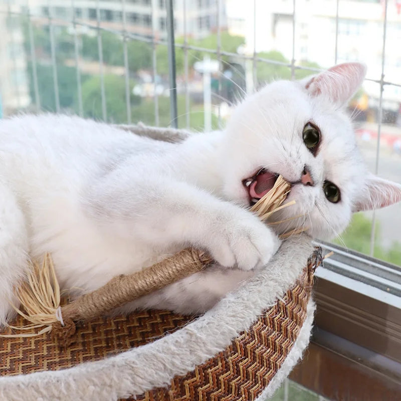 Cat playing with sisal toy designed for teeth cleaning and dental health