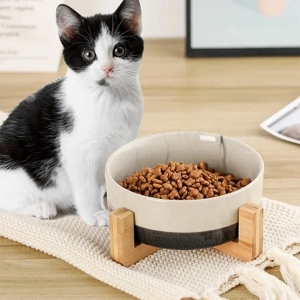 Enhance Your Cat's Mealtime with the Elegant Ceramic Cat Bowl