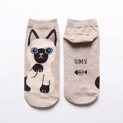 Assorted collection of cat-faced socks presented in a decorative box, perfect for gifting.