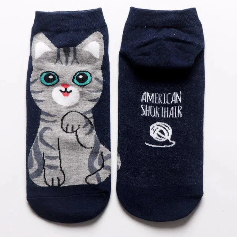 Close-up of cat-themed socks in a box, displaying different facial expressions and colors.