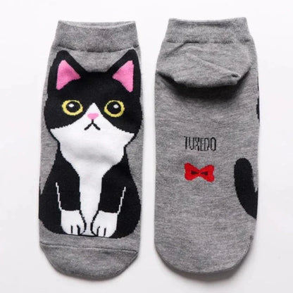 Variety of cute cat socks in pastel colors, packed in an attractive gift box 