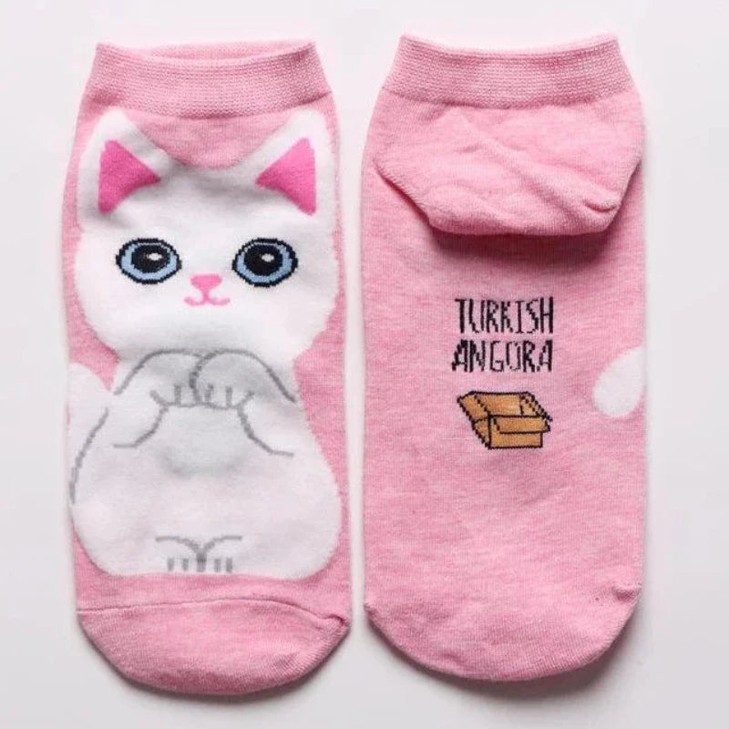 Cute and cozy cat socks in a presentation box, showing off unique cat illustrations.