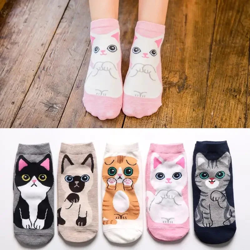 Elegant gift box filled with cat-themed socks, each with detailed and colorful cat faces