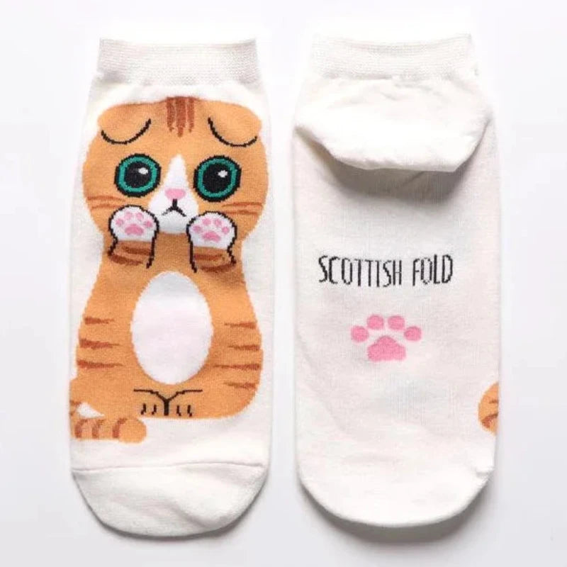 Close-up of cat-themed socks in a box, displaying different facial expressions and colors