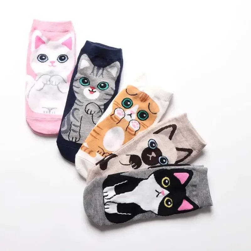 Gift-ready box of cat socks with playful designs, including tabby, tuxedo, and calico patterns.