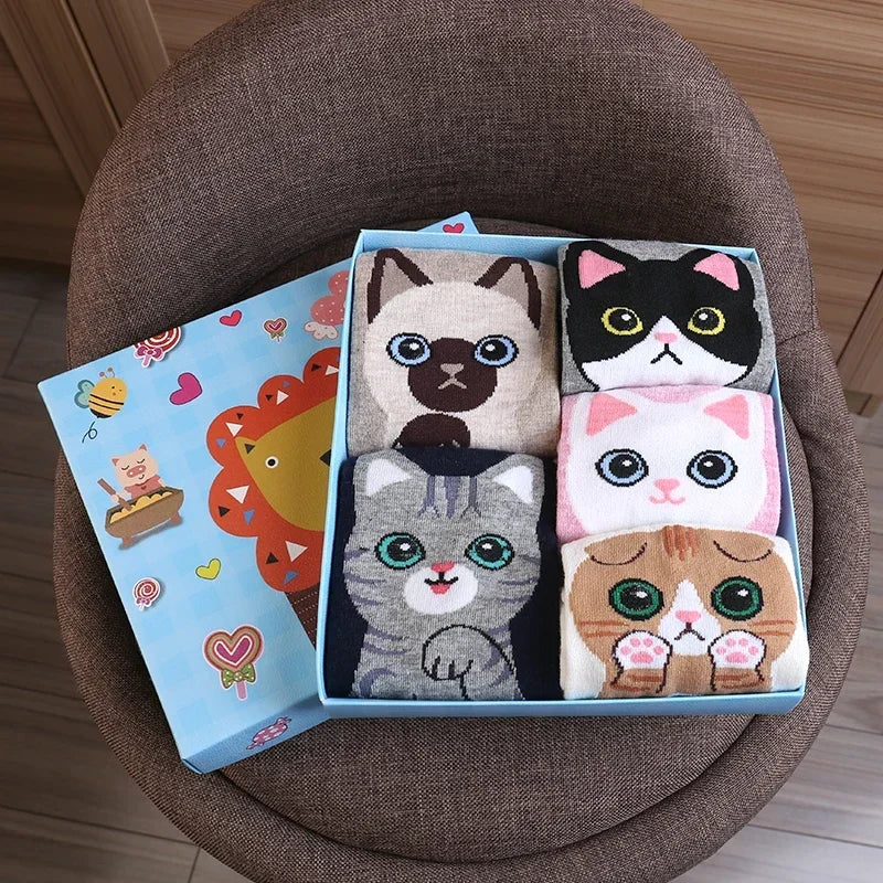 Assorted collection of cat-faced socks presented in a decorative box, perfect for gifting