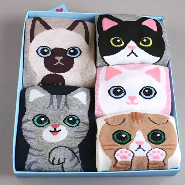 Colorful cat face socks showcased in an open gift box, each pair with a unique design