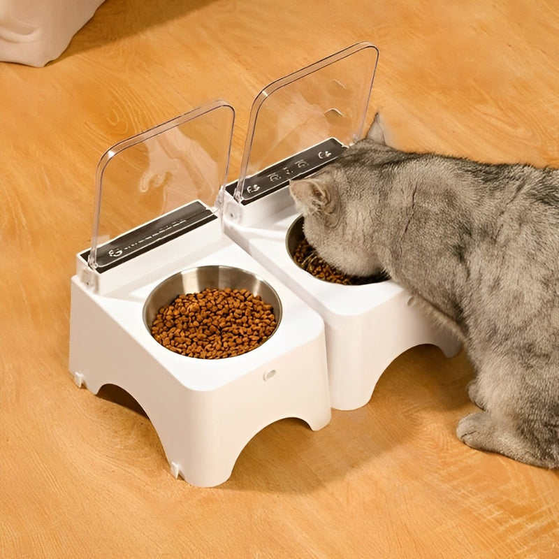 Rechargeable automatic cat feeder with 60-day battery life.