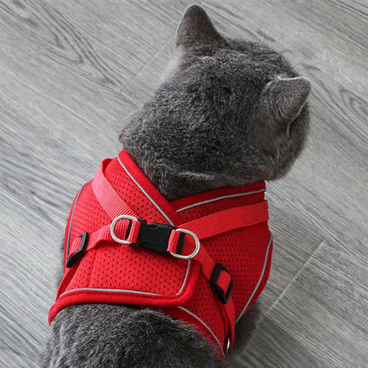 Stylish cat harness with bowknot decoration, perfect for fashionable pets.