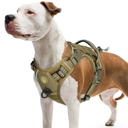 Dog wearing a tactical harness, designed for outdoor activities.