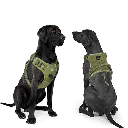 Tactical dog harness equipped with MOLLE system for accessory attachment.