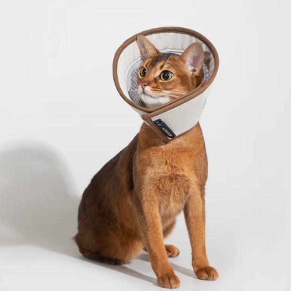 Cat collar for anti-lick recovery